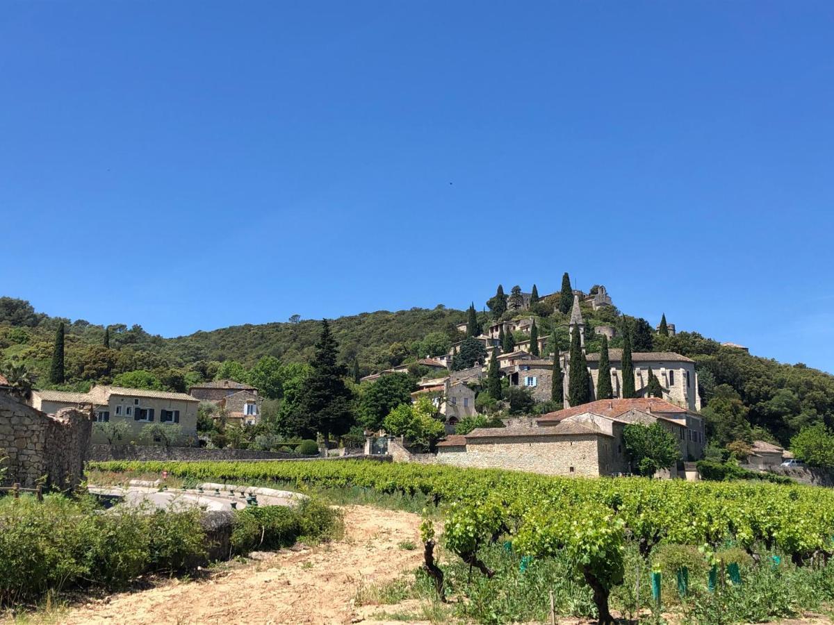 Saint-Julien-de-Peyrolas Maison Des Bourgades מראה חיצוני תמונה